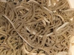 -蜀九香火锅(九眼桥店)