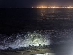 -海草馆自助餐厅(悦海店)