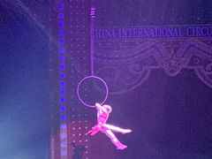 -珠海横琴长隆《卡卡虎奇遇记》