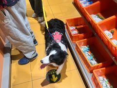 -MARSMART PETS火星宠物超市(1733店)