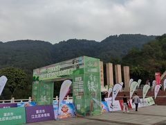 -铁山坪森林公园