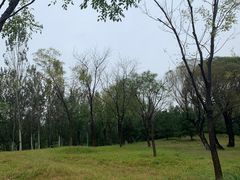 -东郊湿地公园