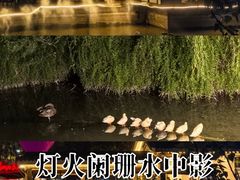 -西苑公园