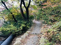-南山健身公园