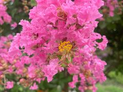 -南京市江宁方山