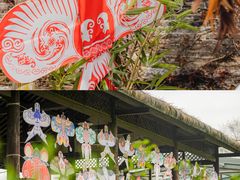-乌镇景区