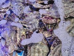 -77号渔船·蒸海鲜青岛菜(积米崖店)