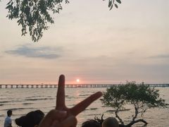 -宝安西湾红树林湿地公园