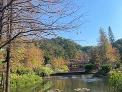 -云溪植物园