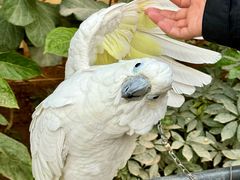 -南宫五洲植物乐园