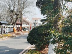 -武汉紫薇都市田园