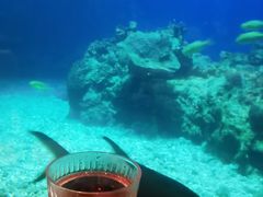 -涛·海底餐厅·美人鱼·自助餐·海底隧道(三亚海棠湾洲际度假酒店)
