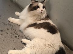 -白兔子密室(长寿路店)