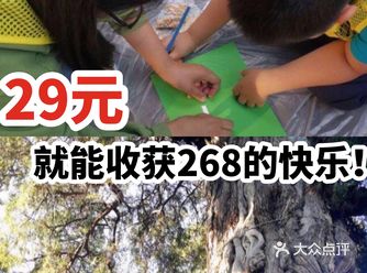 29元就能收获268的快乐！