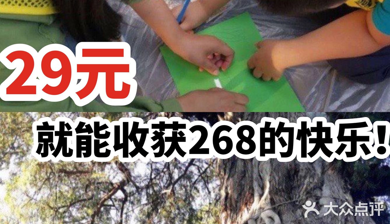 29元就能收获268的快乐！