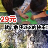 29元就能收获268的快乐！