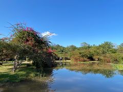 -中国科学院西双版纳热带植物园