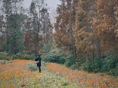 -桤木河湿地公园