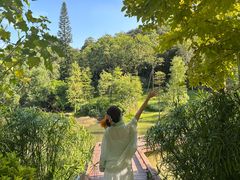 -云溪植物园