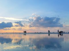 -南汇新城海滩