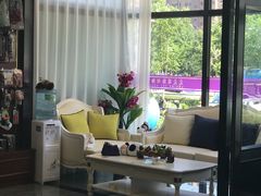 -宠爱国际动物医院· 猫科· 外科·中兽医(长白店)