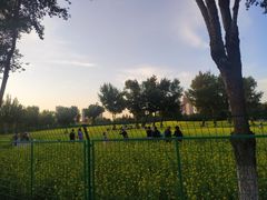 -长白岛森林公园