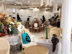 -共舞时光猫咖·狗咖(新街口店)