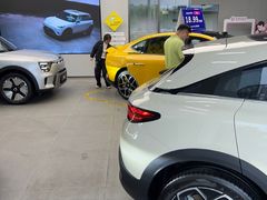 -上海浦东smart汽车全功能店(金桥店)