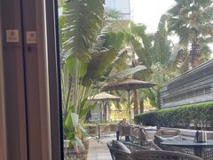 -大堂吧·雪茄吧·威士忌·下午茶(深圳机场希尔顿逸林酒店)