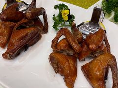 妙龄乳鸽-帝皇楼