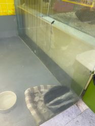 -神奇动物撸宠馆·羊驼·小浣熊·异宠(豫园店)