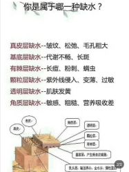 -海茱雅科技健康美容
