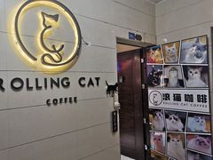 -滚猫咖啡·猫咖·猫友好撸猫(未来城店)