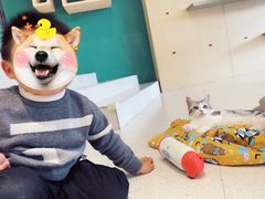 -飞行喵MR PILOT|猫舍·猫咖(静安大融城店)