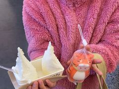 -野人先生Gelato(上海长宁龙之梦店)