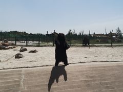 -鄂尔多斯野生动物园