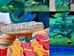 -珠海长隆海洋王国