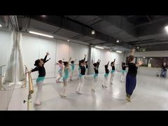 -舞蕾舞蹈(特长生校区)
