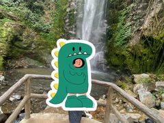 -莫里热带雨林景区