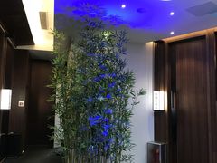 大堂-松鹤楼·非遗·苏帮菜(融科店)
