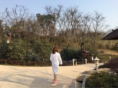 紫清湖生态旅游温泉度假区-南京汤山紫清湖生态旅游温泉度假区