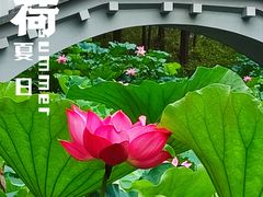-大宁公园