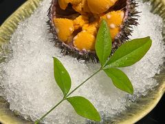 空运活海胆-天狗山料理(省体店)