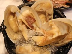 象拔蚌-鲜入围煮花胶鸡海鲜火锅