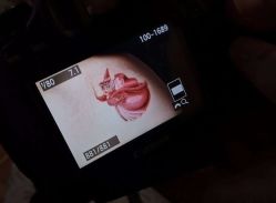 -I-TATTOO 纹身艺术空间