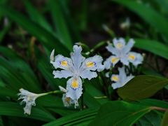 -苏州河梦清园环保主题公园