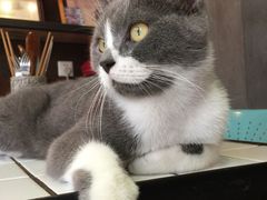 -MIKAKU(万达广场上海宝山店)