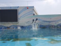 -北戴河圣蓝海洋公园