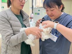 -佩兹宠物医院肿瘤专科·眼科·牙科(黄浦店)
