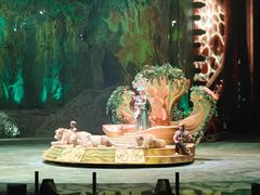 -广州长隆国际大马戏